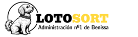 panel.lotosort.es